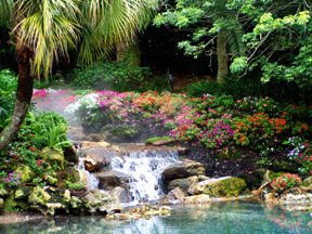 Calming Tropical Stream